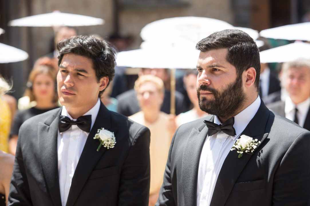  My Big Crazy Italian Wedding