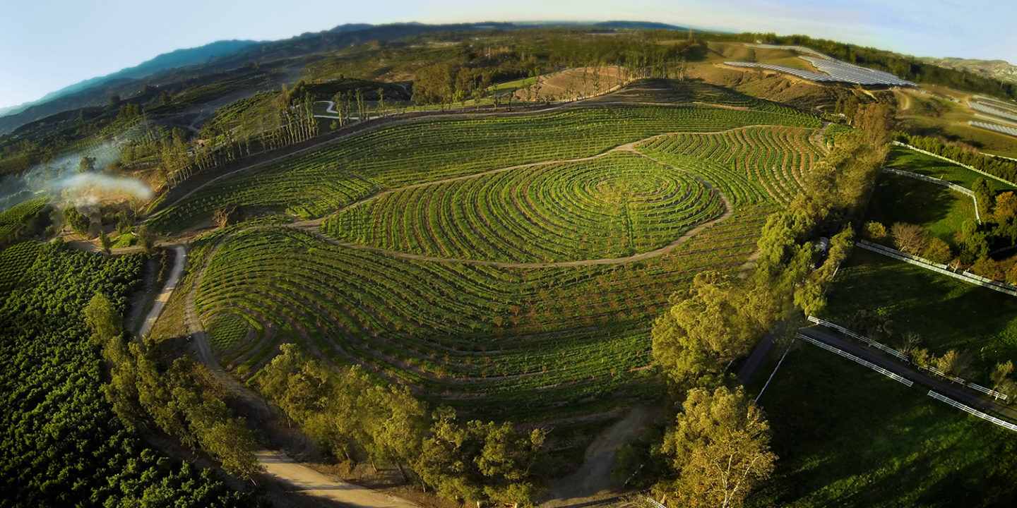  Unsere große kleine Farm