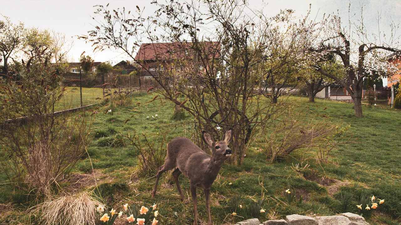  Der schönste Platz auf Erden