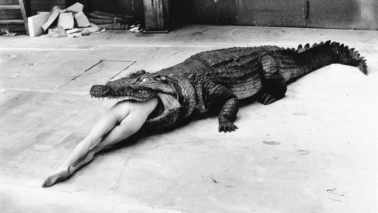  Helmut Newton – The Bad and the Beautiful