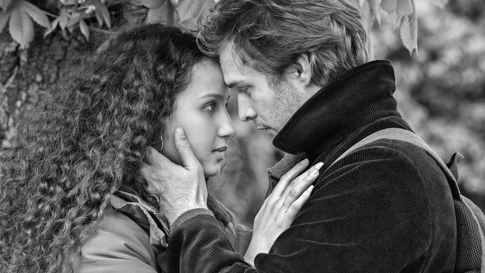 Le Sel des larmes Special (2019)