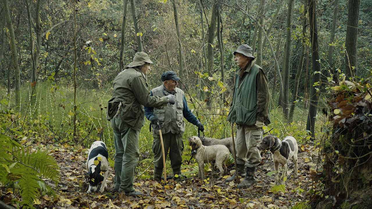  The Truffle Hunters