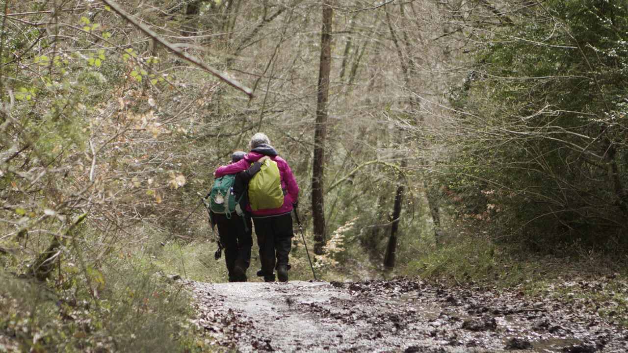  Himmel über dem Camino