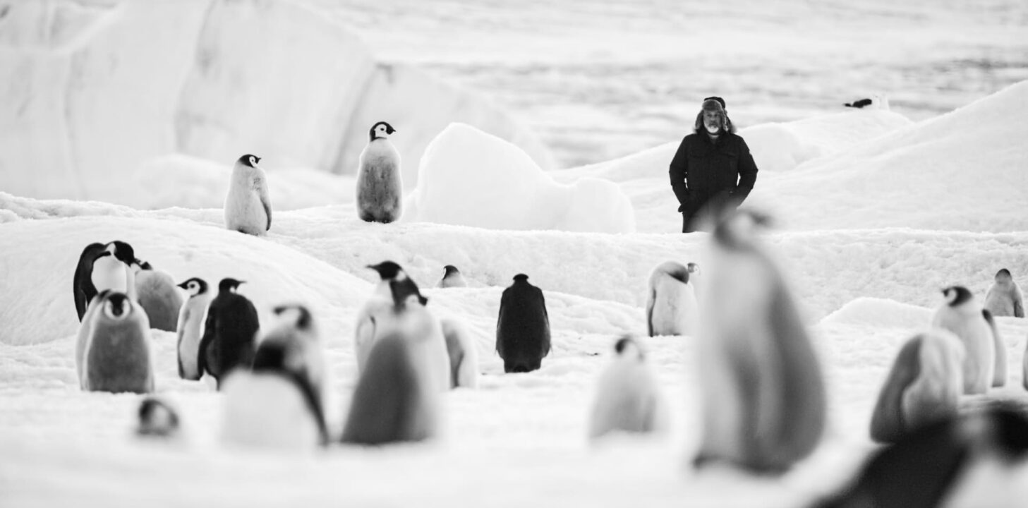  Rückkehr zum Land der Pinguine