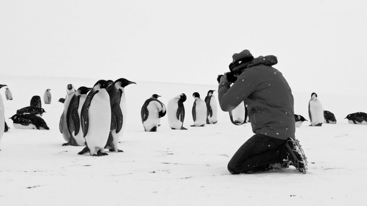  Rückkehr zum Land der Pinguine