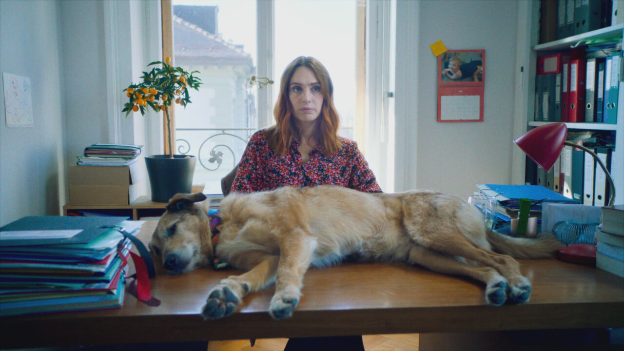  Le procès du chien