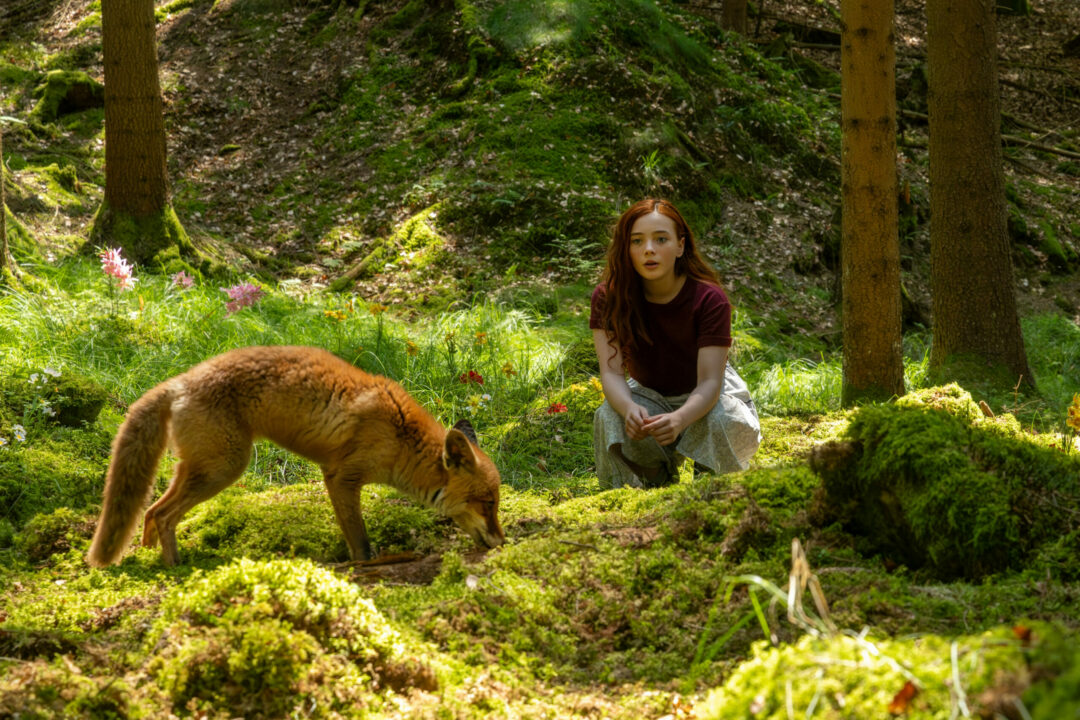  Ein Mädchen namens Willow