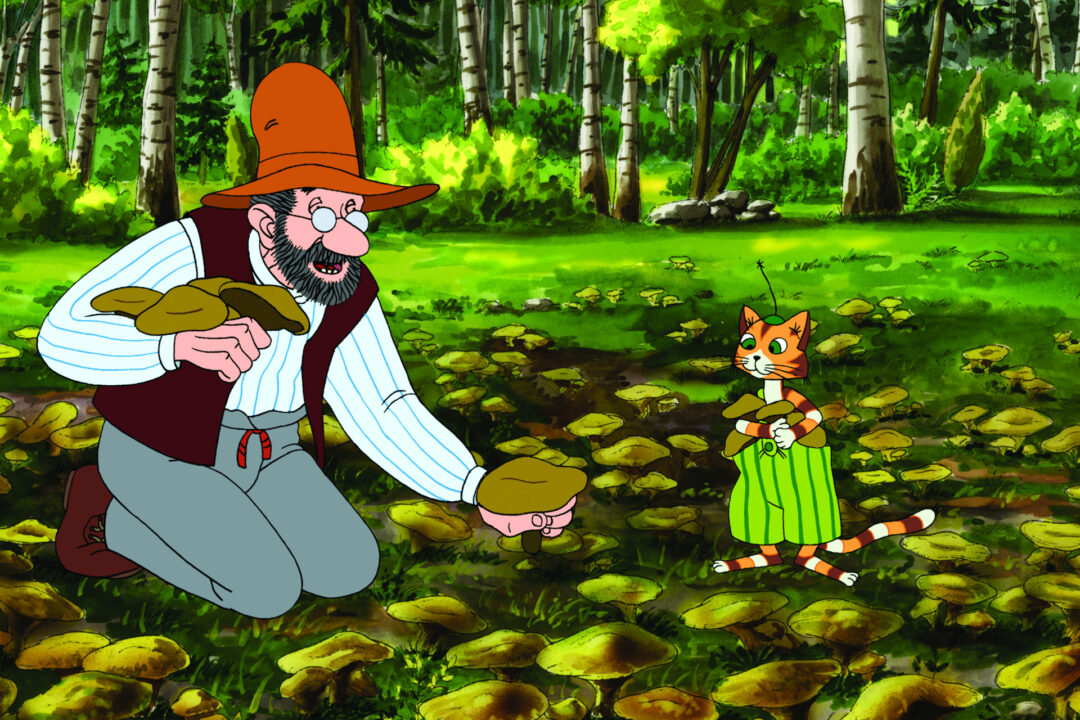 Neues von Petterson und Findus