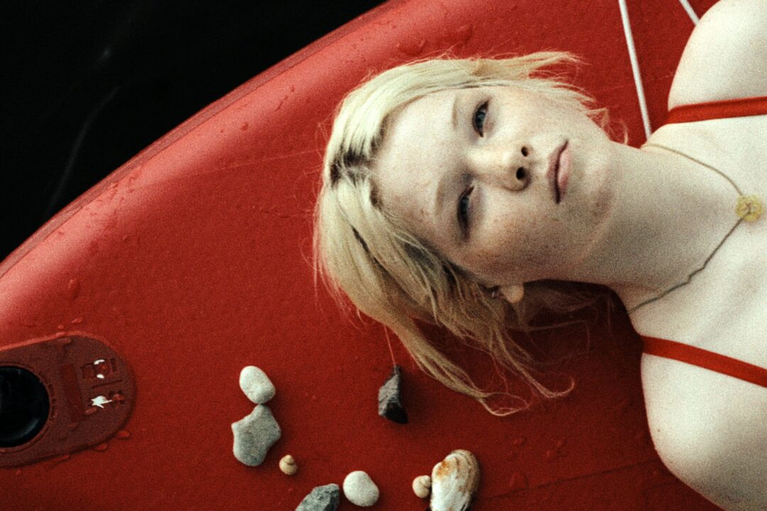 In die Sonne schauen