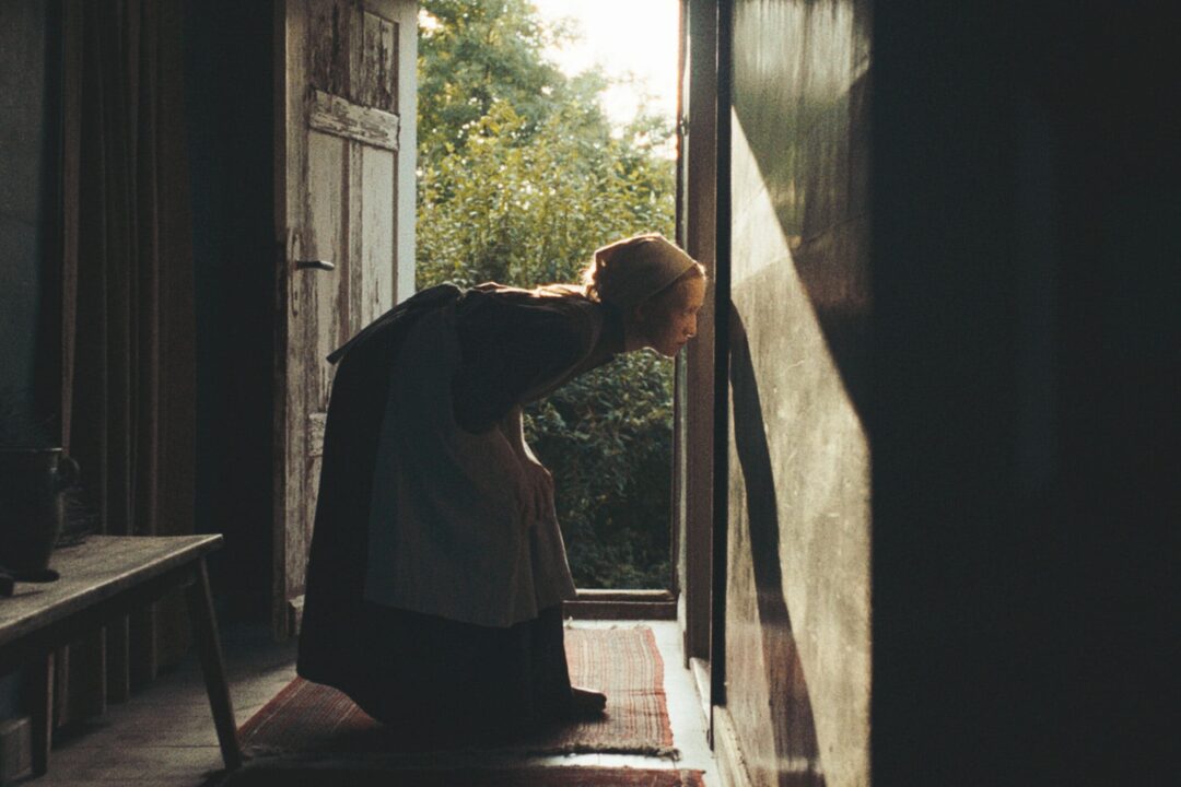 In die Sonne schauen