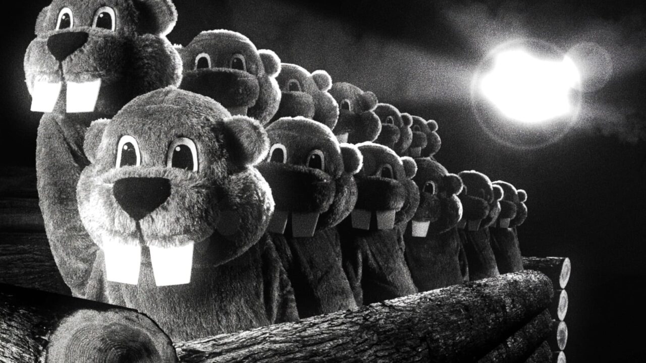  Hundreds of Beavers