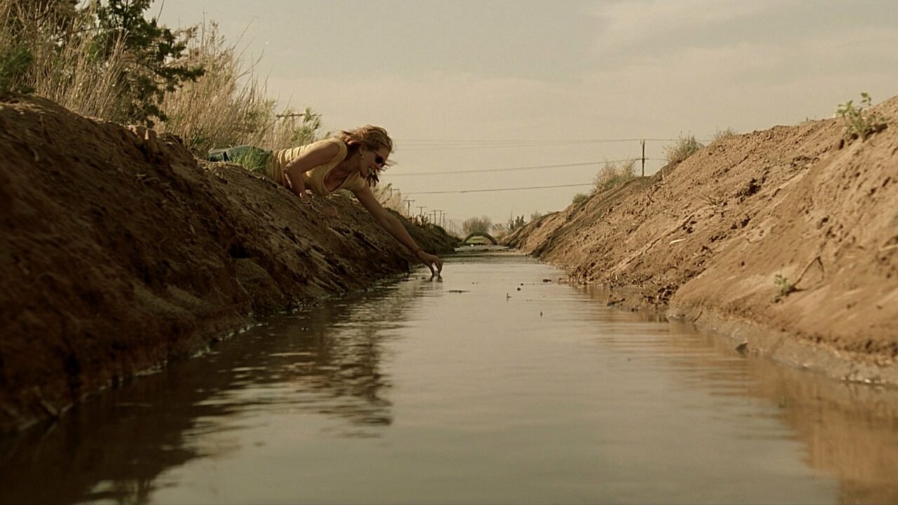 Erin Brockovich