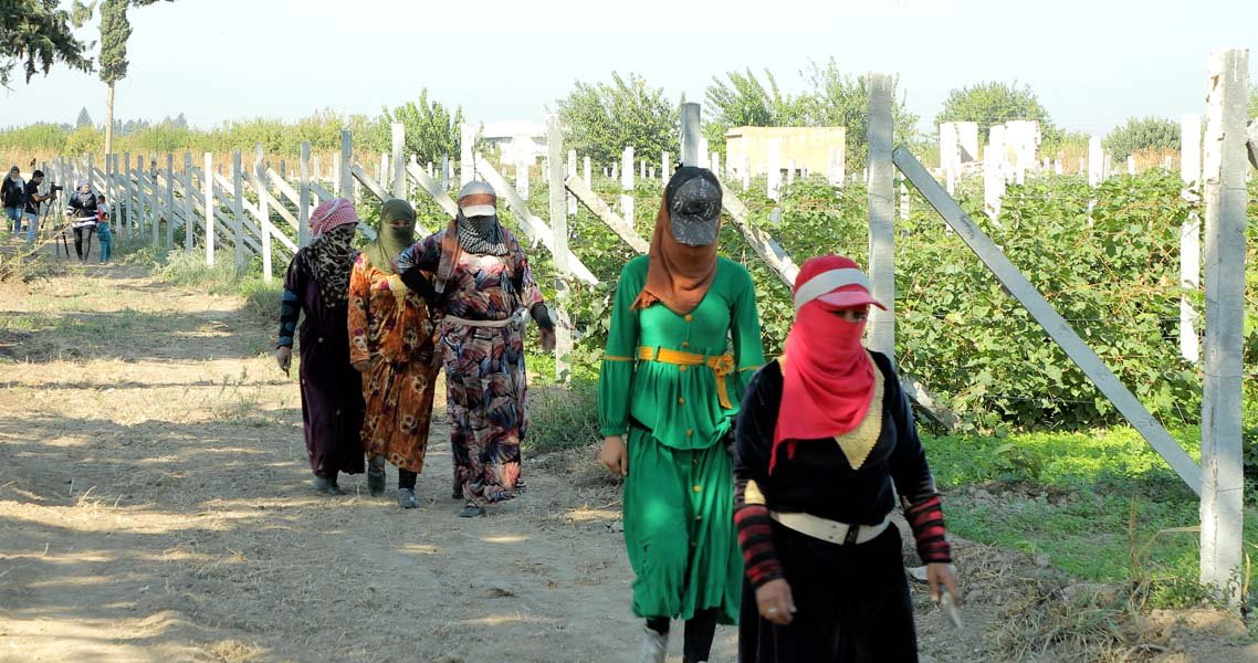 TEVÎ HER TİŞTÎ – TROTZ ALLEDEM