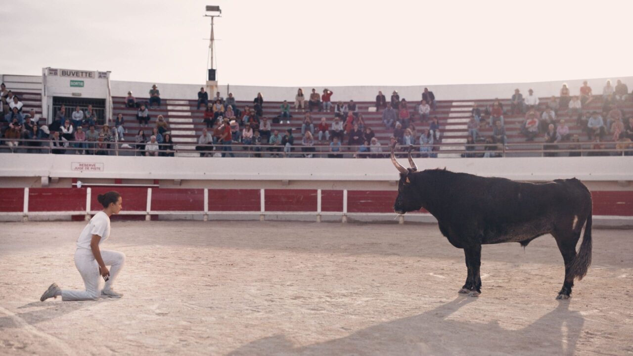  Animale