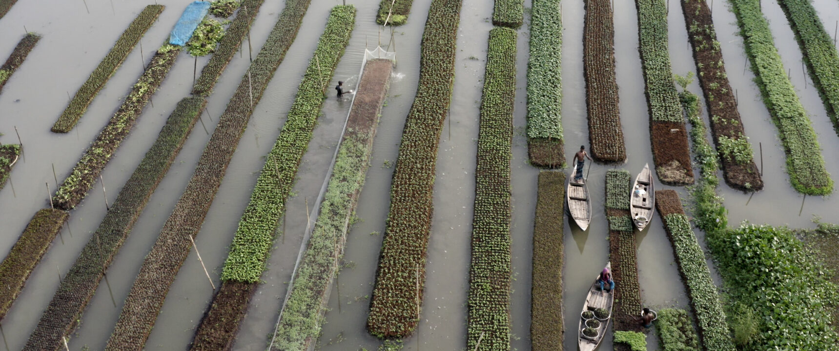 Elements Of(f) Balance