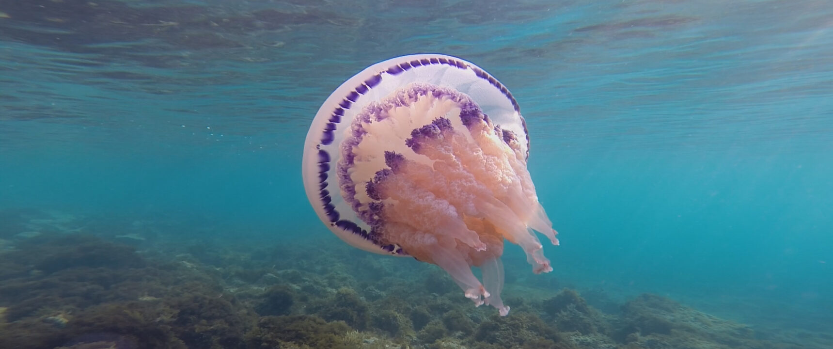 Elements Of(f) Balance