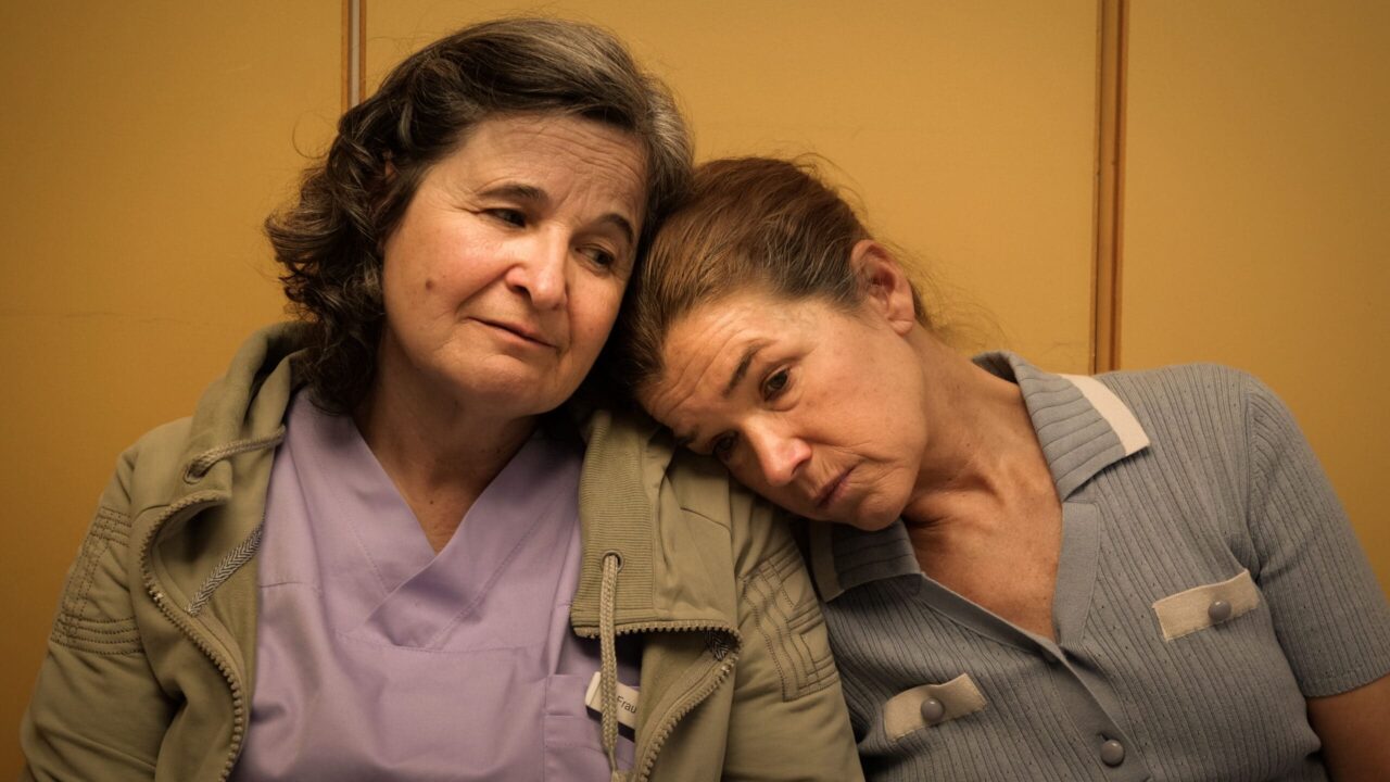 Dann passiert das Leben