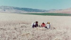 Some of the Palestinians + No Going Back?