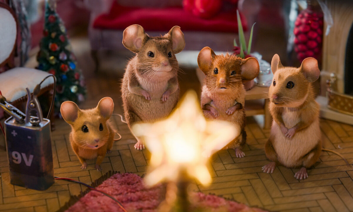 Mission Mäusejagd: Chaos unterm Weihnachtsbaum