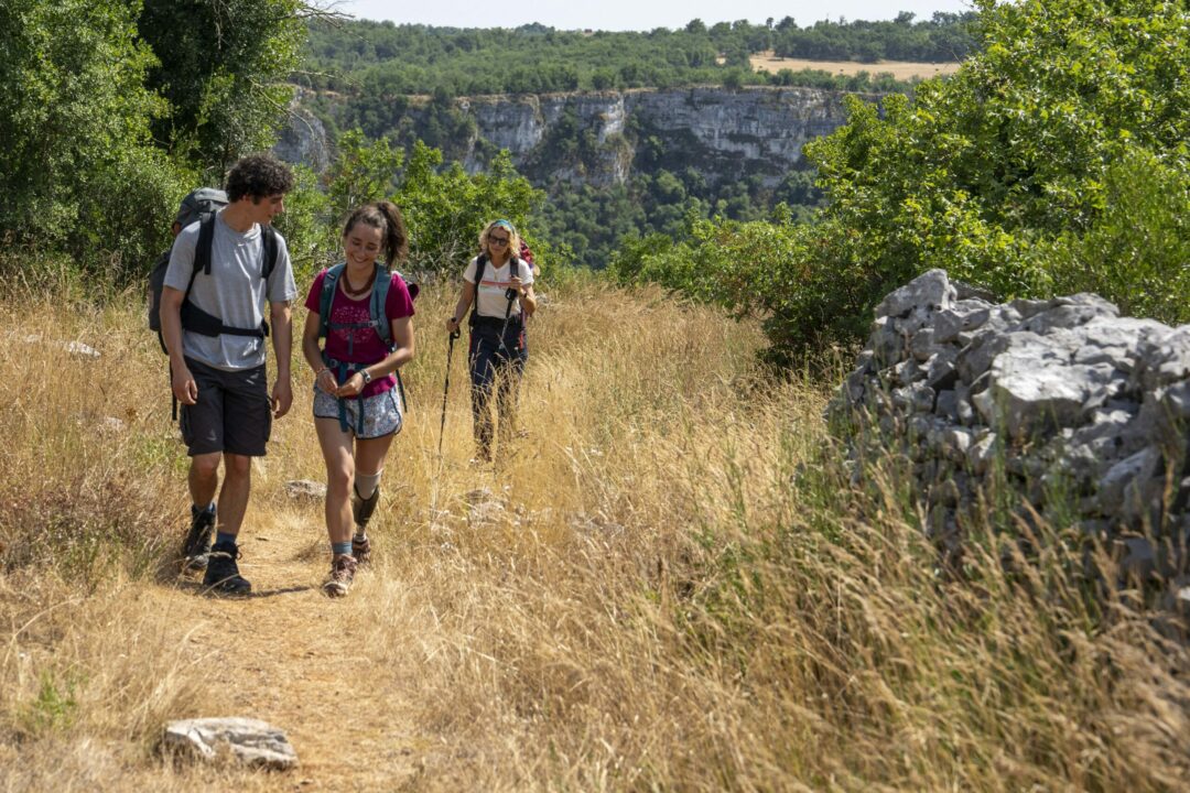 Die Camino-Therapie