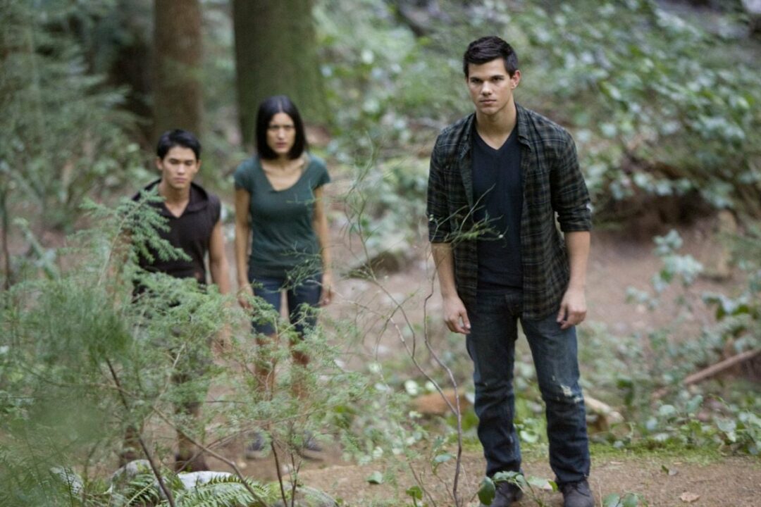 Breaking Dawn – Bis(s) zum Ende der Nacht