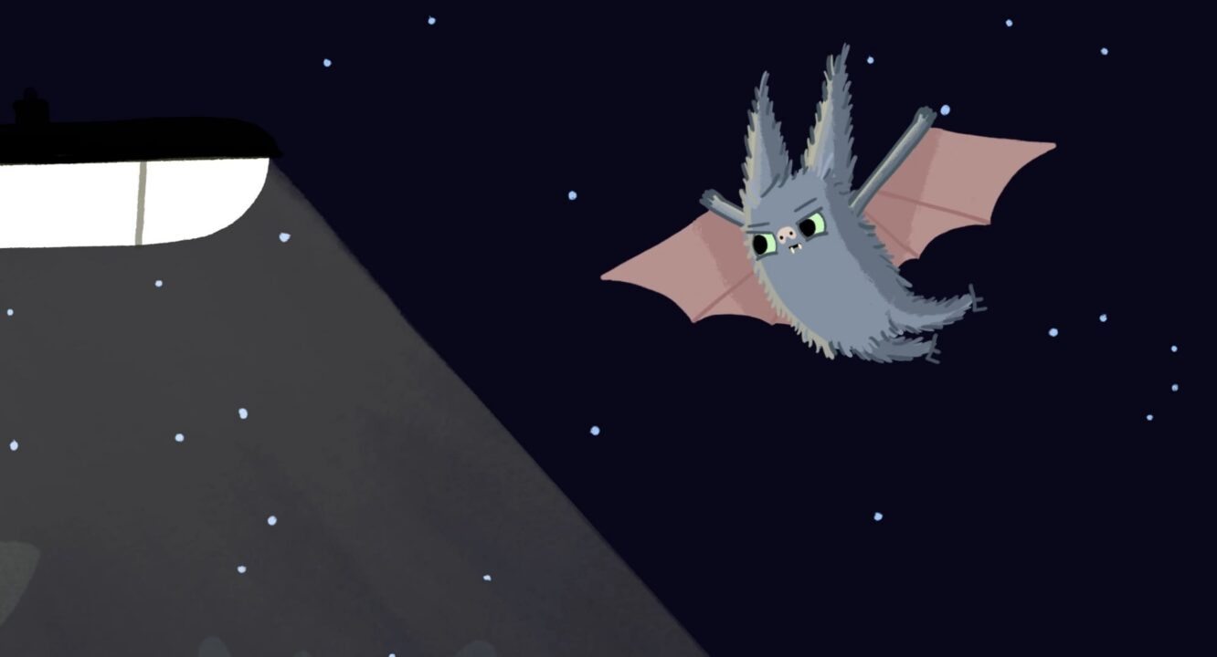 Kurzfilmprogramm: Zusammen finden