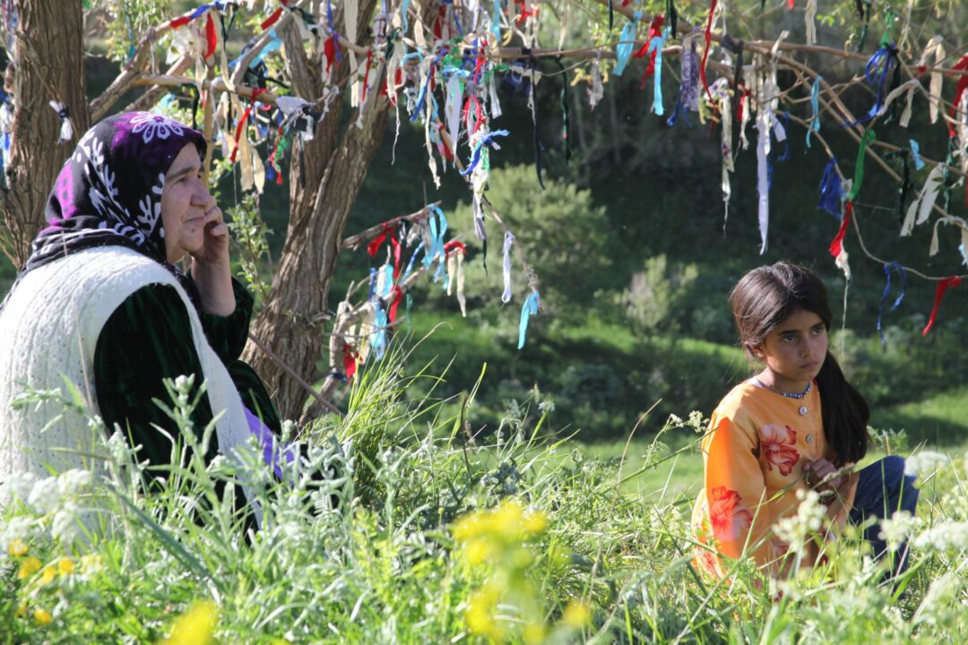 Sercavan – Kurdische Filmtage
